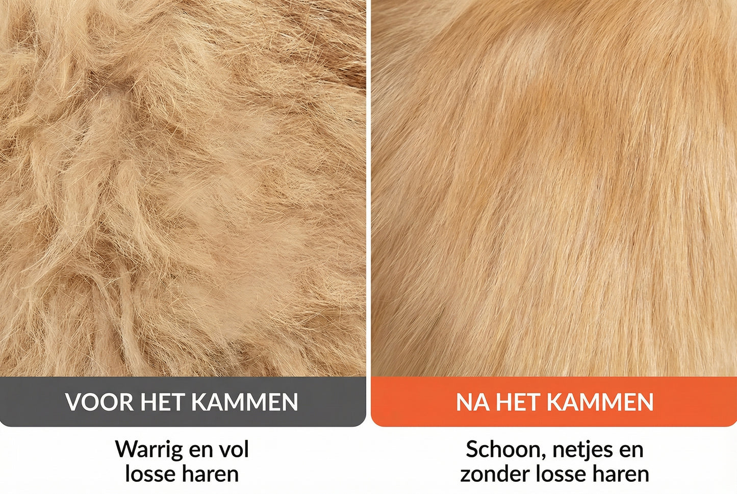 FurGlow Hydro-Mist Pro